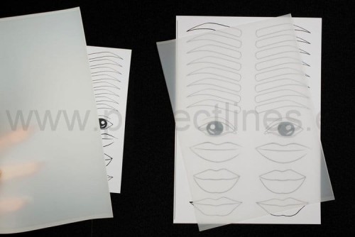 Sztuczna skórka transparentna A5/ zestaw 5 skórek + laminowana grafika